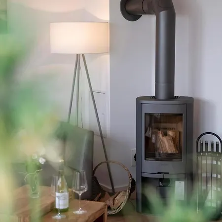 Strandelfe Appartement Olpenitz